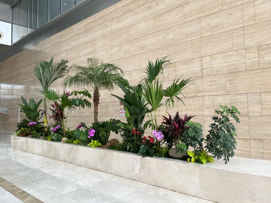 选绿植租摆，奉化这家公司为何备受青睐？